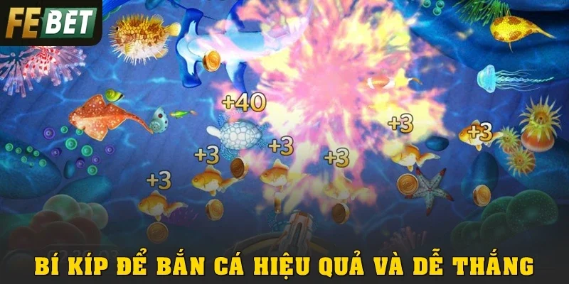 Bí kíp để bắn cá hiệu quả và dễ thắng tại Febet