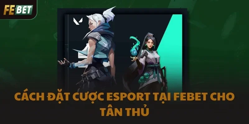 Cách đặt cược Esport tại FEBET cho tân thủ