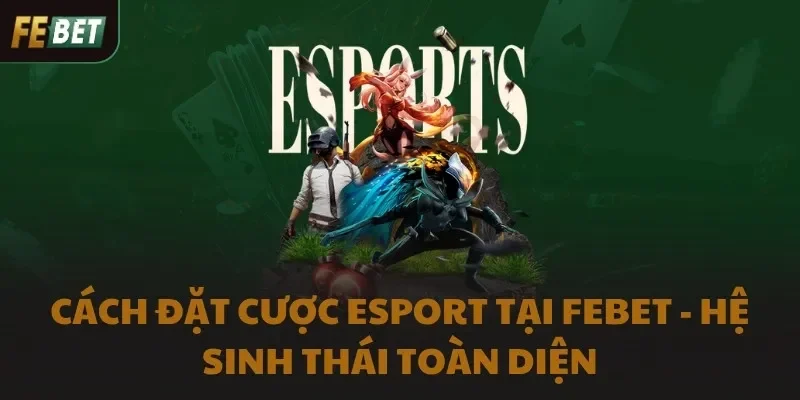 Cách Đặt Cược Esport Tại FEBET - Hệ Sinh Thái Toàn Diện