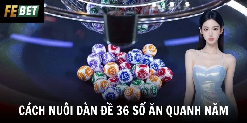 Cách Nuôi Dàn Đề 36 Số Ăn Quanh Năm - Chiến Thuật Bất Bại