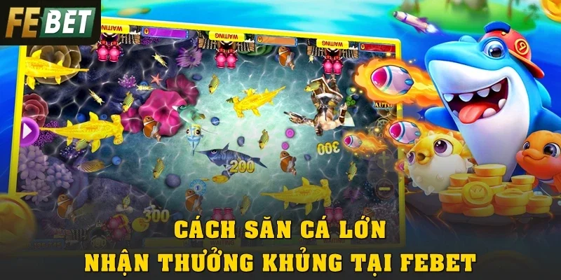 Cách Săn Cá Lớn Nhận Thưởng Khủng Tại Febet Siêu Dễ 2026