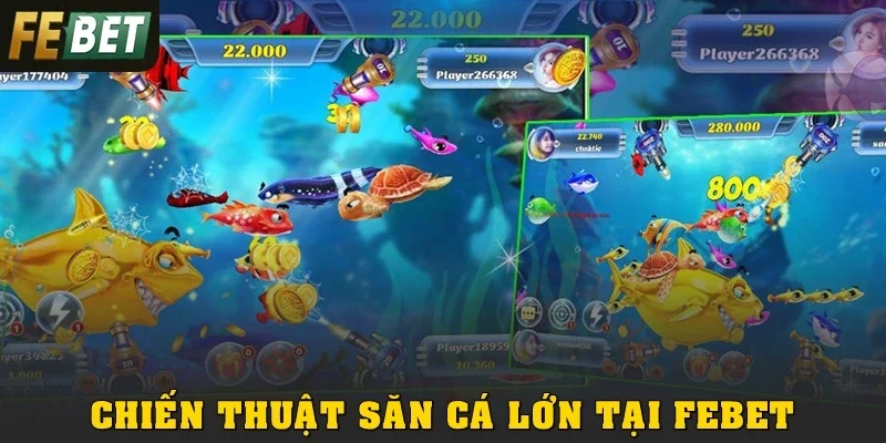 Chiến thuật săn cá lớn tại Febet để nhận thưởng khủng