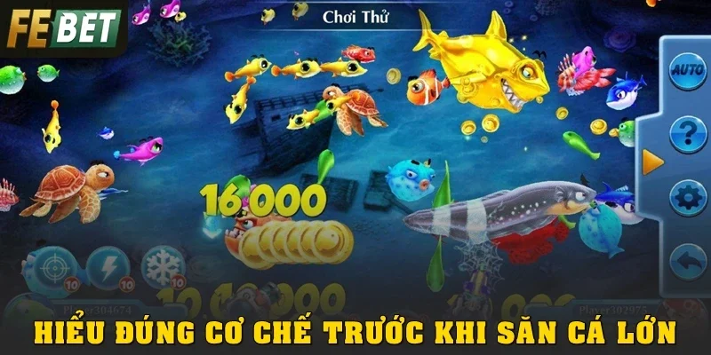 Hiểu đúng cơ chế trước khi săn cá lớn