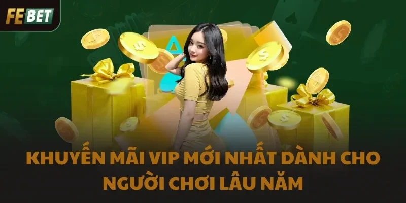 Khuyến mãi VIP mới nhất dành cho người chơi lâu năm