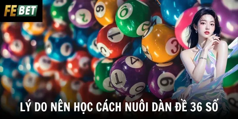 Lý do nên học cách nuôi dàn đề 36 số
